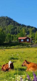 Skinnerud Där Öpp - - 9