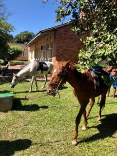 Wander Inn Apartments - Livingstone - 9