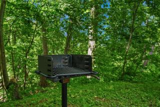 Rustic Cabin, WiFi, Hot Tub, Fireplace, Views! - 4