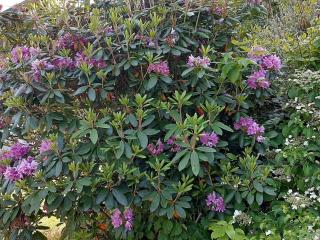 6 person holiday home in Lyngdal - 2