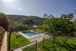 Podere Maria Lena, Casentino - 5