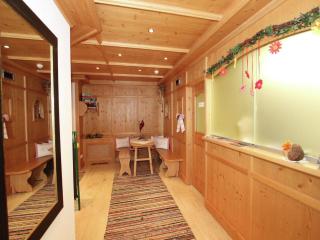 Attractive holiday home in Kaltenbach on the ski-slope - Stumm - 2