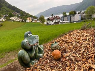 Apartment with mountain view - Sattendorf - 5