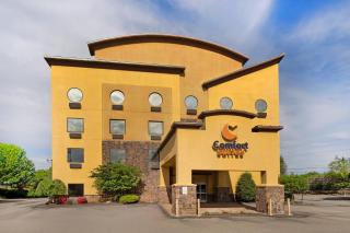Comfort Suites - Monroeville - 6