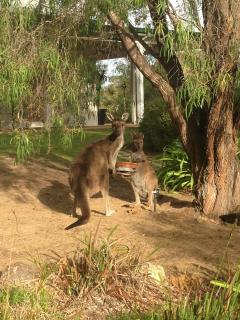 Llewellin's Guest House - Margaret River - 2