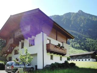Apartment in Fusch an der Glocknerstraße in nature - Fusch an der Glocknerstraße - 6