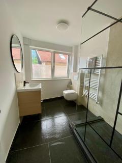 Transylvania Guest House - 4