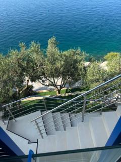 Olive Tree Apartment - 5