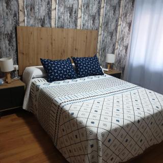 Asturias , zona central Valle Nalon - San Martín del Rey Aurelio - 4