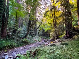 Casalarada - House by the Creek - Watsonville - 1