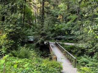 Casalarada - House by the Creek - Watsonville - 7