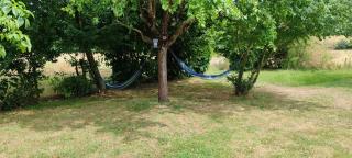 Gîte 4 pers, Jacuzzi, Piscine, proche Futuroscope, calme et nature à La Roche Posay - La Roche-Posay - 5