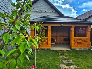 Casa Ancuta Ocna Sugatag - Ocna Şugatag - 8