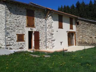 Maison de campagne en Auvergne - Champagnac-le-Vieux - 9