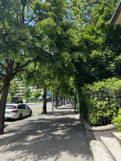 Fribourg Home- Altstadt - Friburgo - 3