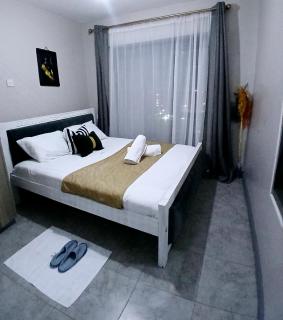 Natt homes near jkia - Nairobi - 0