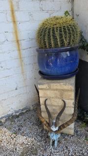 Koekeloer Selfcatering Cottages - Nieu-Bethesda - 2