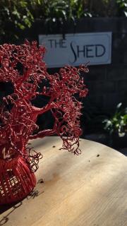 Koekeloer Selfcatering Cottages - Nieu-Bethesda - 8