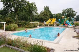 Gloednieuwe 4-6p Lodge - 5 sterren Camping Pallegarste - Mariënberg - 3