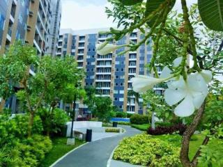 The Hive Condo - Malapandan - 3