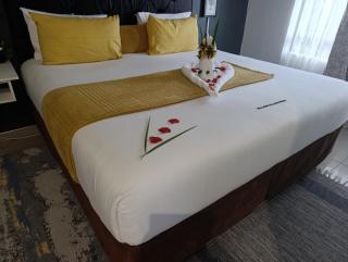 Shalakwe Hills-Inn Guesthouse Kasane - Kasane - 5