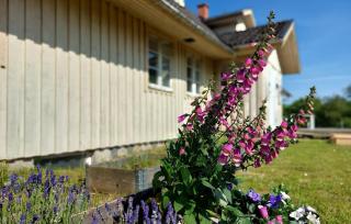 Awesome Home In Bjärnum With House A Panoramic View - Bjärnum - 3
