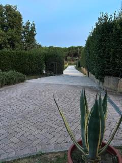 Lo Zizzolo - Orceto - 5