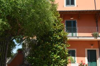Lo Zizzolo - Orceto - 2