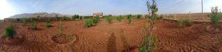 Villa Arys - - 8