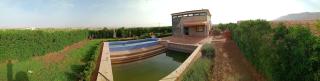 Villa Arys - - 6