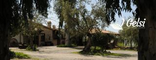 Agriturismo I GELSI - Francavilla Marittima - 0