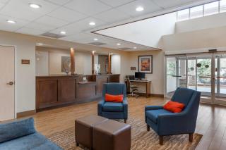 Comfort Suites Raleigh Walnut Creek - 4