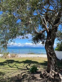 Beachfront Villa with Garden - Valentine Corfu - Mesongi - 2