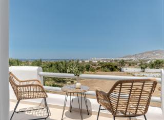 Lemonia Suites with outdoor BBQ area - Agia Anna Naxos - 3