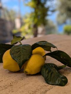 Villa Paradise Sea View - Vico Equense - 7