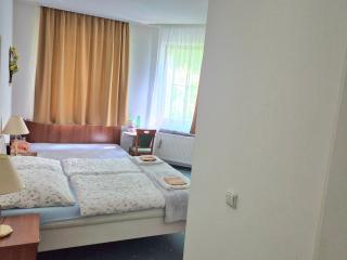 Plazza Trencianske Teplice Spa Panorama 4P - 2