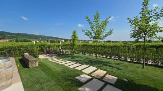 Agriturismo Igino - Camere con vista sui vigneti - - Negrar - 4