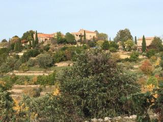 Maison ardéchoise avec panorama - Sampzon - 3