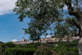 Tenuta San Masseo - boutique farm resort & SPA - Assisi - 6