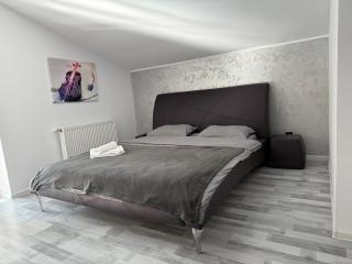 Penthouse luxury Predeal View - Predeal - 7