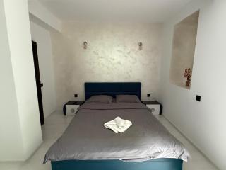 Penthouse luxury Predeal View - Predeal - 9