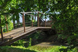 Domaine Belle Ombre - 8