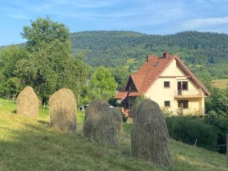 W górach nad strumieniem - - 0