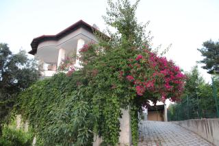 Oktapolis - Dalaman - 7