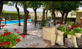 Casa rural La Quinta De Lara - Valdepeñas - 4