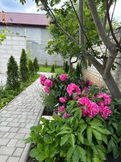 Sunny Nest - 5