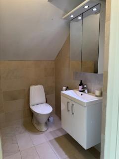 Koselig loftsleilighet - 2