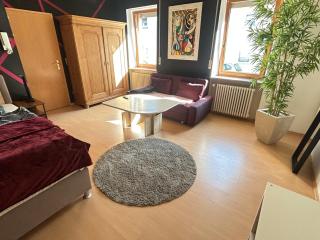 Zentrale Ferienwohnung Trier-Euren mit Heimkino, Küche, Wallbox & Kostenlose Fahrräder - 3