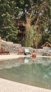 Happy Lemon Tree lodge - Sauraha - 3