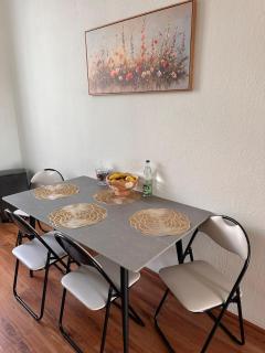 Apartment on Elbe bike path - Magdeburgo - 1